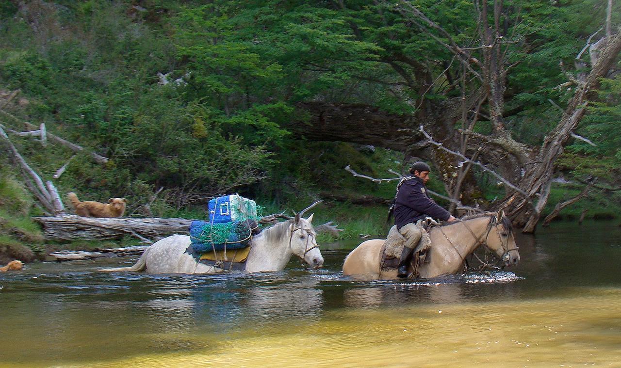 Bed and Breakfast Vista Al Paine - Refugio De Aventura Торрес-дель-Пайне Экстерьер фото